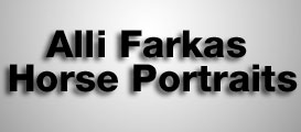 Alli Farkas Horse Portraits