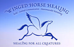 Winged Horse Healing
